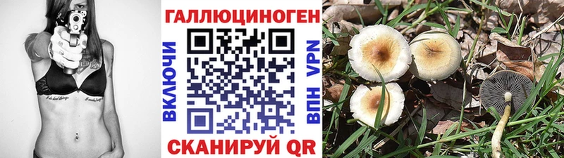 Галлюциногенные грибы мицелий  нарко площадка официальный сайт  Купино  хочу наркоту 